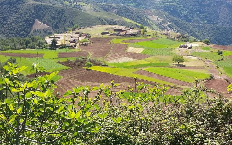 Gallery Image 1 - Tazekka Park