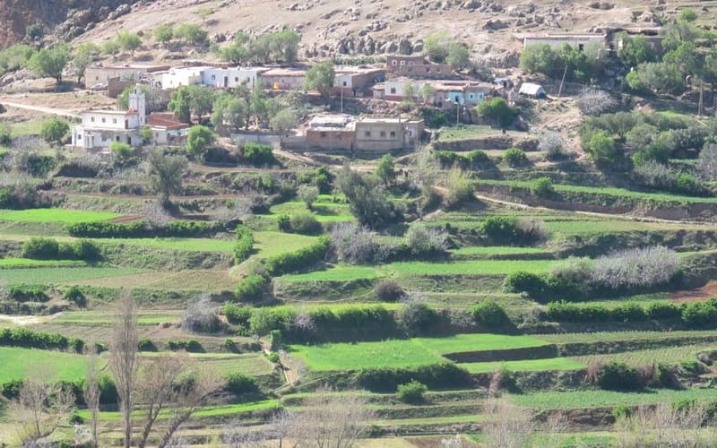 Gallery Image 1 - Tazekka Park