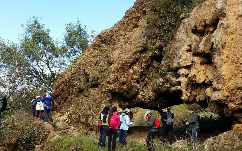 Gallery Image 1 - Tazekka Park