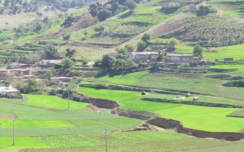 Gallery Image 7 - Tazekka Park