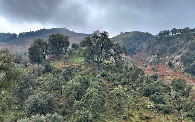 Gallery Image 9 - Tazekka Park